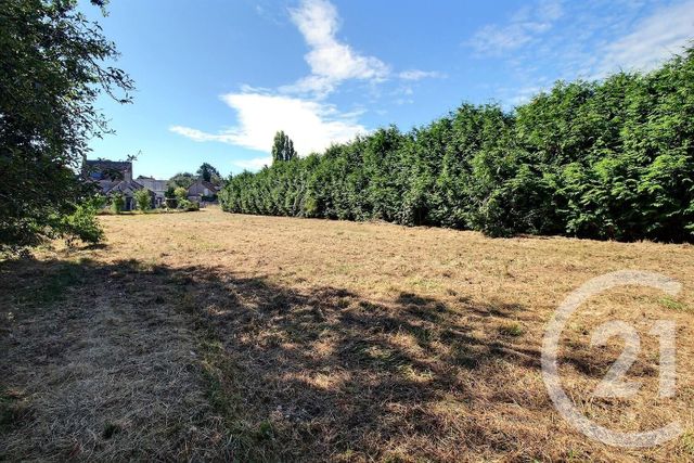 Terrain &agrave; vendre - 1665 m2 - Autainville - 41 - CENTRE