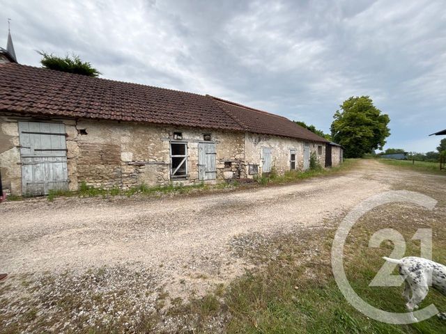 Maison &agrave; vendre - 12 pi&egrave;ces - 371,26 m2 - Tavers - 45 - CENTRE