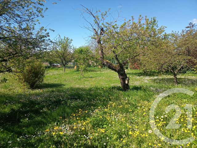 Maison à vendre - 9 pièces - 269,89 m2 - Baule - 45 - CENTRE