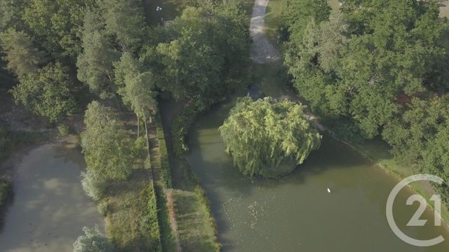 Maison &agrave; vendre - 6 pi&egrave;ces - 345 m2 - La Ferte St Cyr - 41 - CENTRE