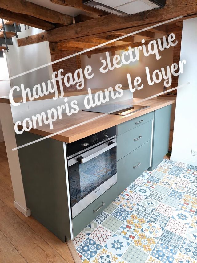 appartement - BEAUGENCY - 45