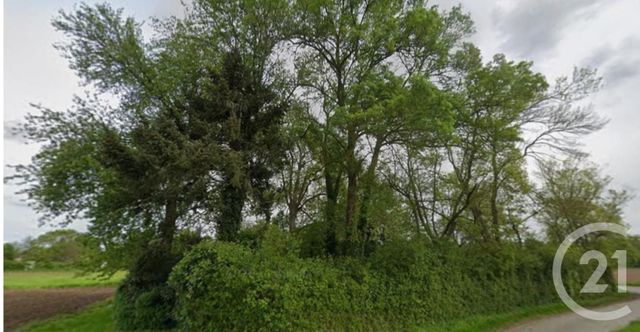 terrain - ST LAURENT NOUAN - 41