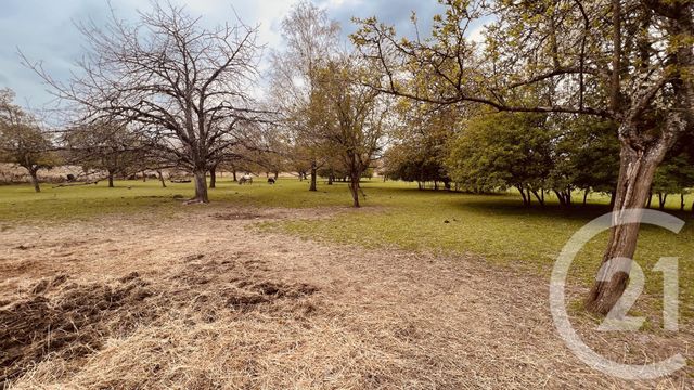 Terrain &agrave; vendre - 15659 m2 - Sezanne - 51 - CHAMPAGNE-ARDENNE