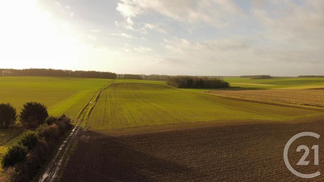 Maison &agrave; vendre - 9 pi&egrave;ces - 330 m2 - Esternay - 51 - CHAMPAGNE-ARDENNE