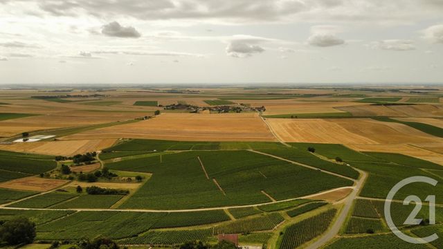 Maison à vendre - 7 pièces - 155 m2 - Sezanne - 51 - CHAMPAGNE-ARDENNE