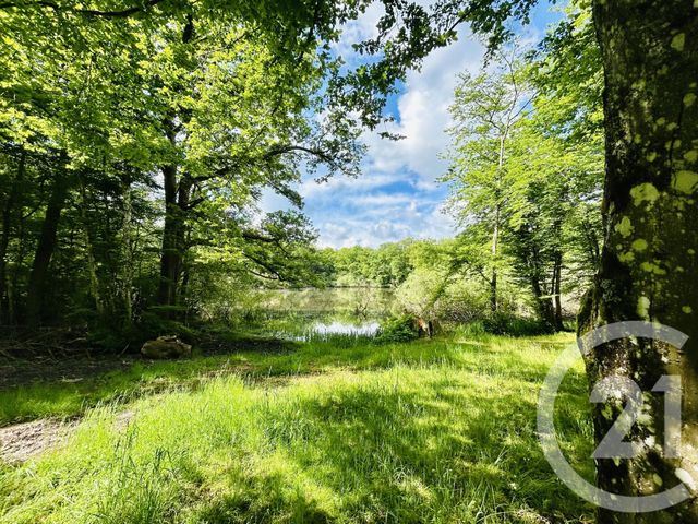 Maison à vendre - 4 pièces - 85 m2 - Esternay - 51 - CHAMPAGNE-ARDENNE