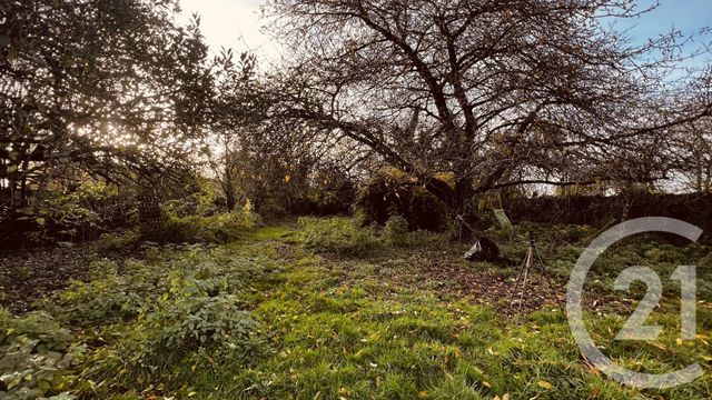 Maison à vendre - 6 pièces - 180 m2 - Beton Bazoches - 77 - ILE-DE-FRANCE