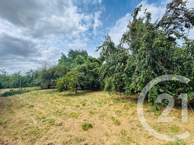 terrain - LA FERTE GAUCHER - 77