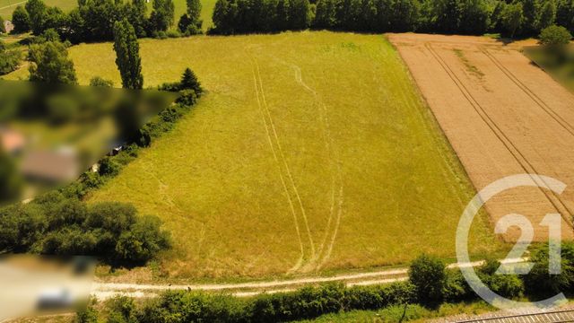 Terrain à vendre - 3000 m2 - Esternay - 51 - CHAMPAGNE-ARDENNE