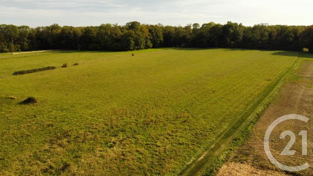 Maison à vendre - 5 pièces - 147 m2 - La Ferte Gaucher - 77 - ILE-DE-FRANCE