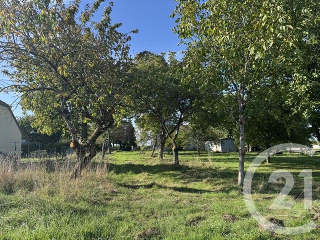 terrain - SEZANNE - 51