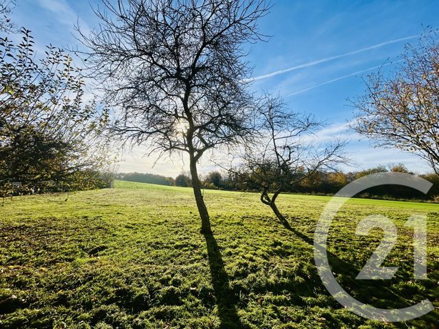 terrain - ESTERNAY - 51