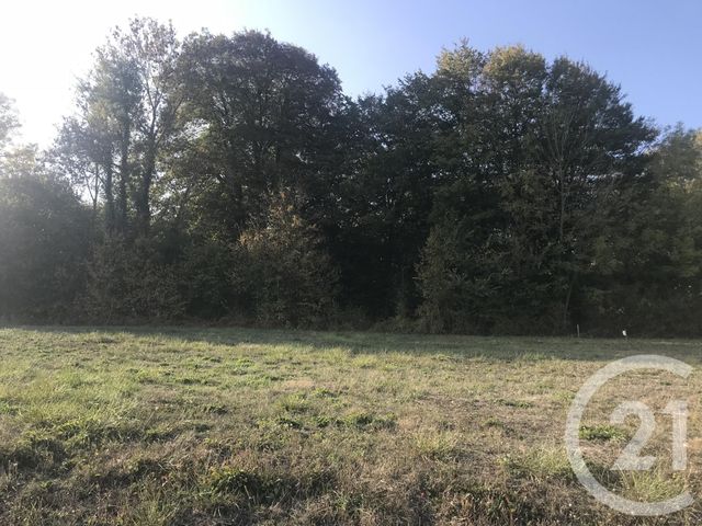 terrain - ESTERNAY - 51