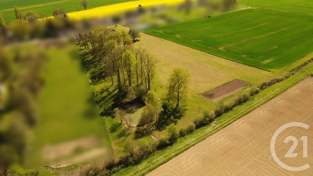 Maison &agrave; vendre - 7 pi&egrave;ces - 135,12 m2 - Esternay - 51 - CHAMPAGNE-ARDENNE