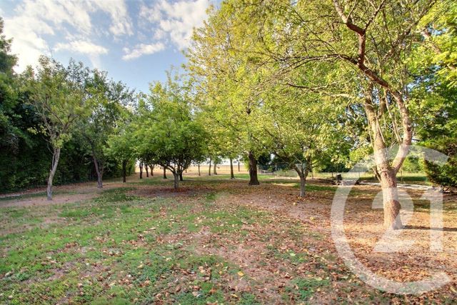 Maison &agrave; vendre - 5 pi&egrave;ces - 156,45 m2 - Sezanne - 51 - CHAMPAGNE-ARDENNE