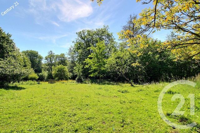 Maison &agrave; vendre - 5 pi&egrave;ces - 181,26 m2 - Vallees En Champagne - 02 - PICARDIE