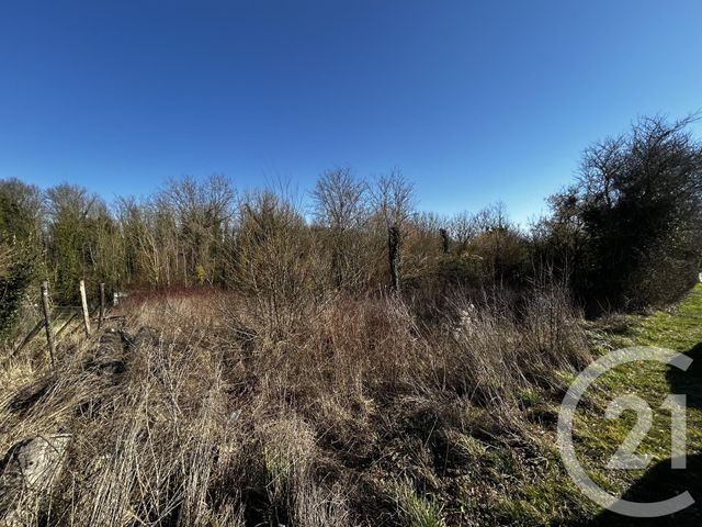 Terrain à vendre - 2948 m2 - Connantray Vaurefroy - 51 - CHAMPAGNE-ARDENNE