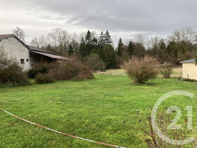 terrain - POGNY - 51