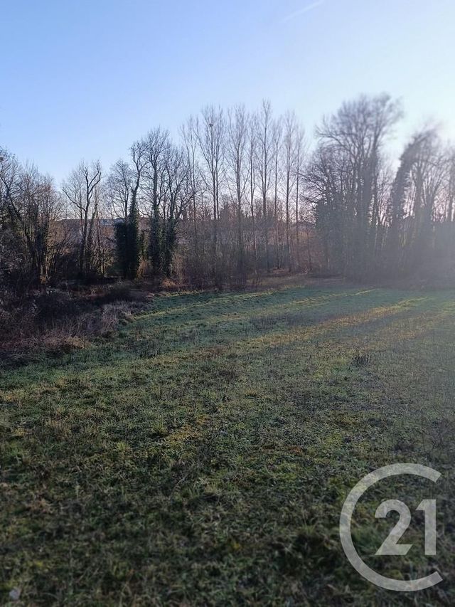 Terrain à vendre - 4223 m2 - Vatry - 51 - CHAMPAGNE-ARDENNE