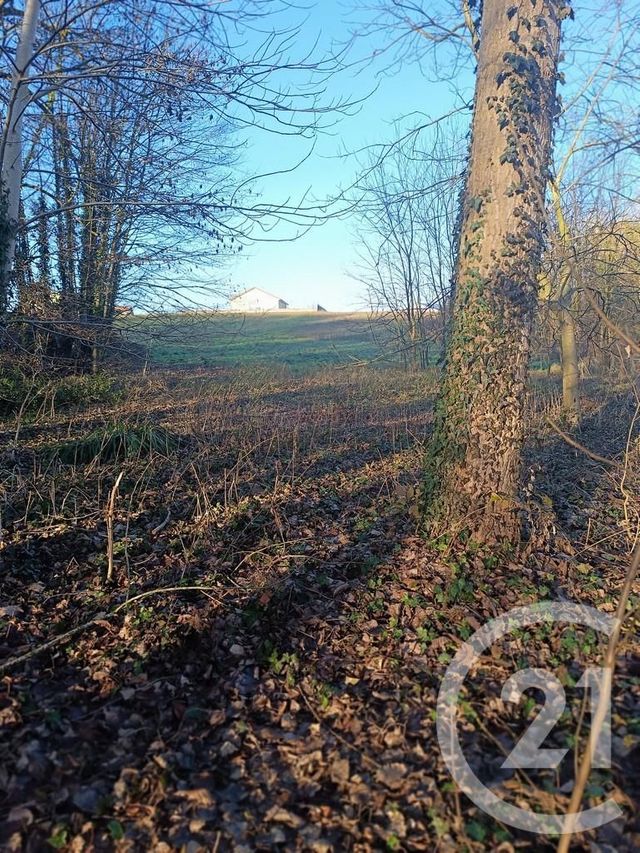 Terrain à vendre - 4223 m2 - Vatry - 51 - CHAMPAGNE-ARDENNE