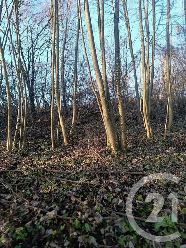 Terrain à vendre - 4223 m2 - Vatry - 51 - CHAMPAGNE-ARDENNE