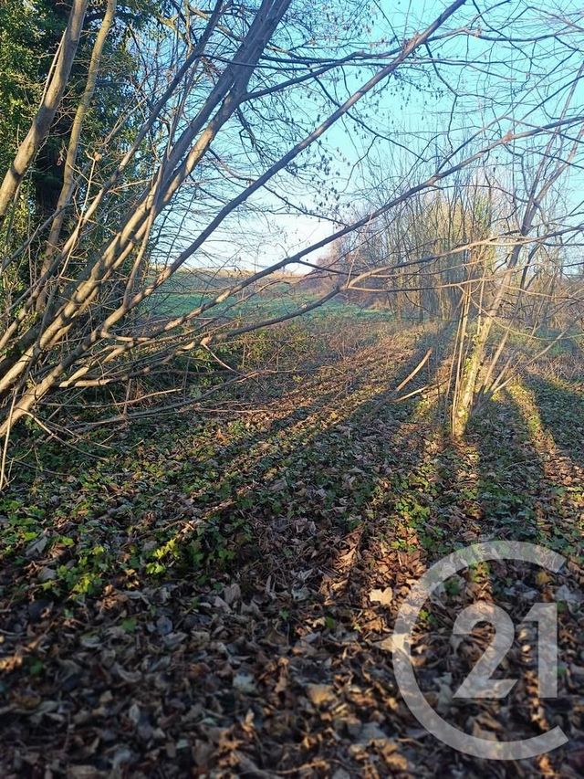 Terrain à vendre - 4223 m2 - Vatry - 51 - CHAMPAGNE-ARDENNE