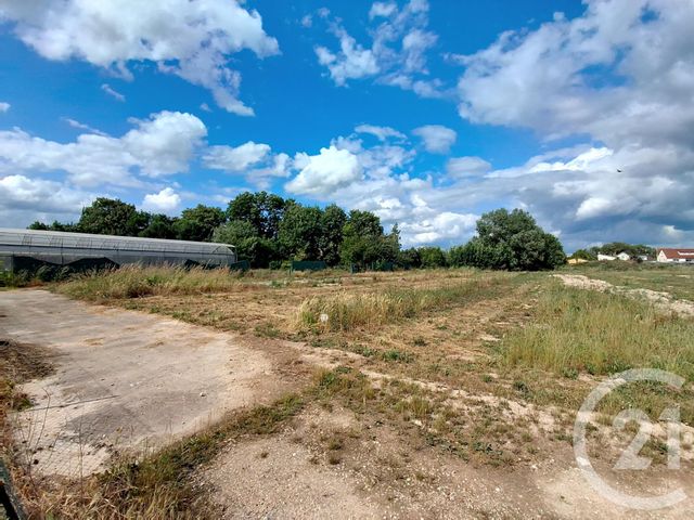 Terrain à vendre ST MEMMIE