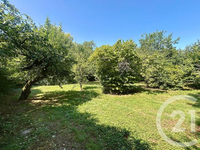 Maison &agrave; vendre - 8 pi&egrave;ces - 302,52 m2 - St Amand Sur Fion - 51 - CHAMPAGNE-ARDENNE