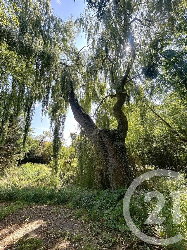 Maison &agrave; vendre - 8 pi&egrave;ces - 302,52 m2 - St Amand Sur Fion - 51 - CHAMPAGNE-ARDENNE