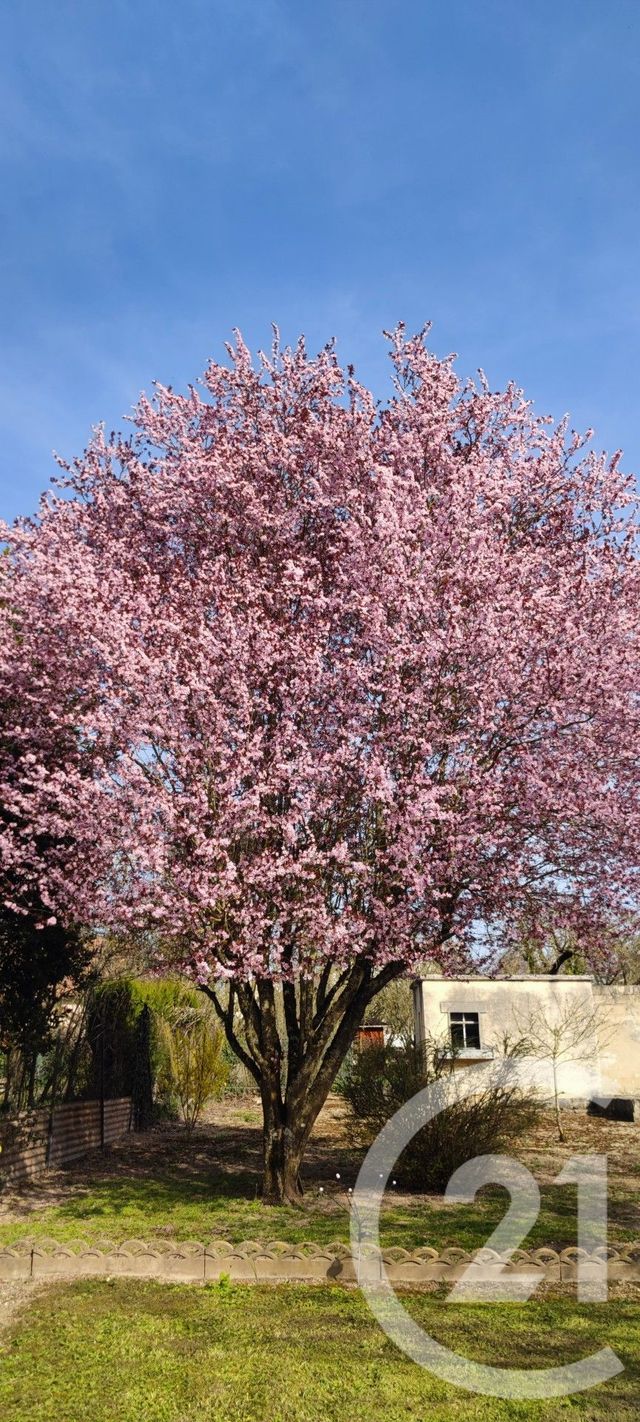 Maison &agrave; vendre - 4 pi&egrave;ces - 98 m2 - St Memmie - 51 - CHAMPAGNE-ARDENNE