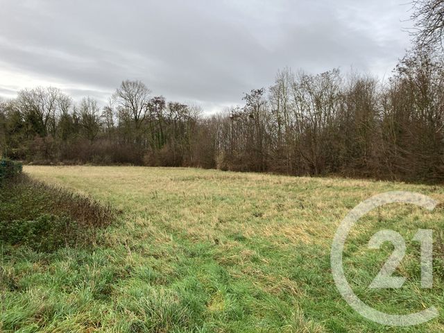 terrain - POGNY - 51