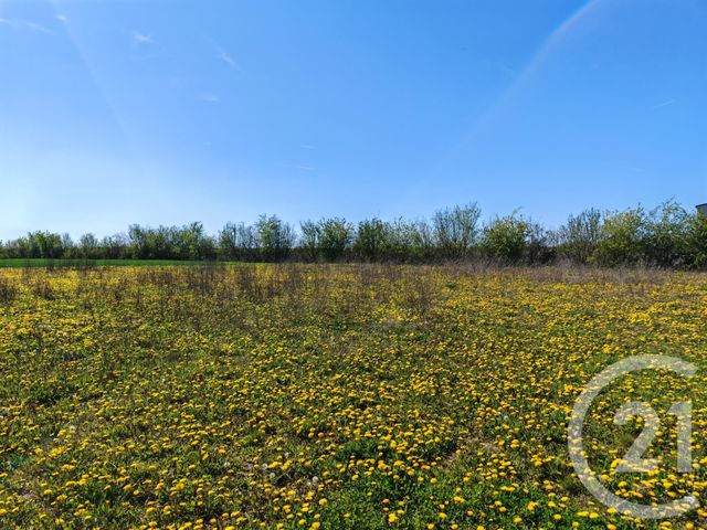 terrain - BREUVERY SUR COOLE - 51