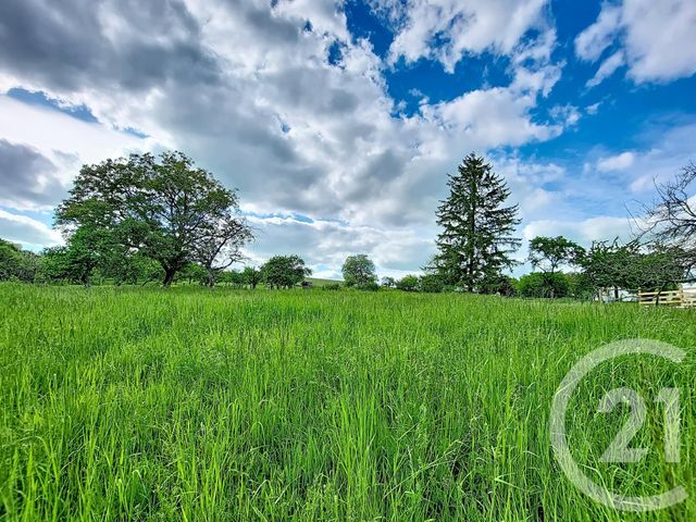 Maison &agrave; vendre - 8 pi&egrave;ces - 132,13 m2 - Offroicourt - 88 - LORRAINE