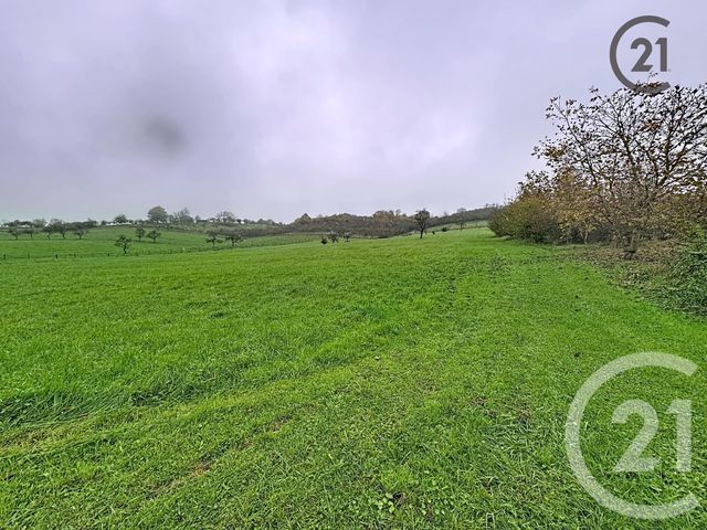 Maison &agrave; vendre - 1 pi&egrave;ce - 139,52 m2 - They Sous Montfort - 88 - LORRAINE