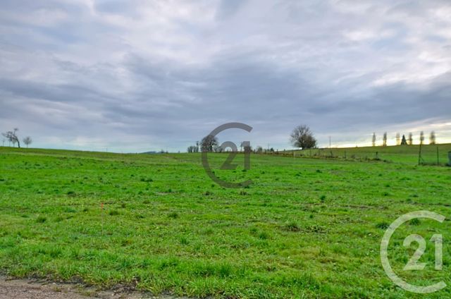 terrain - MARTIGNY LES BAINS - 88