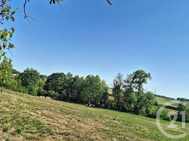 Maison &agrave; vendre - 7 pi&egrave;ces - 238 m2 - Bocquegney - 88 - LORRAINE
