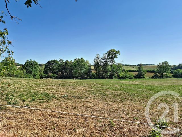 Maison &agrave; vendre - 7 pi&egrave;ces - 238 m2 - Bocquegney - 88 - LORRAINE
