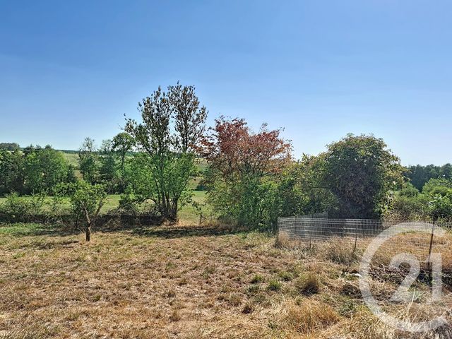 Maison &agrave; vendre - 7 pi&egrave;ces - 238 m2 - Bocquegney - 88 - LORRAINE