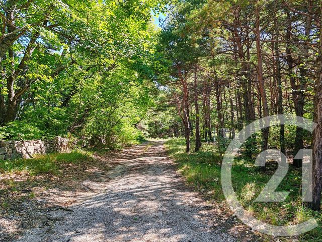 Maison à vendre - 5 pièces - 212,20 m2 - Fontienne - 04 - PROVENCE-ALPES-COTE-D-AZUR