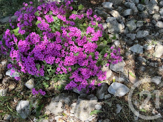 Maison &agrave; vendre - 5 pi&egrave;ces - 132,50 m2 - Reillanne - 04 - PROVENCE-ALPES-COTE-D-AZUR