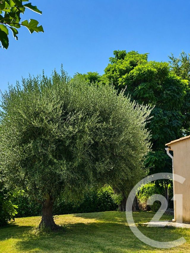 Maison &agrave; vendre - 4 pi&egrave;ces - 85 m2 - Pierrerue - 04 - PROVENCE-ALPES-COTE-D-AZUR
