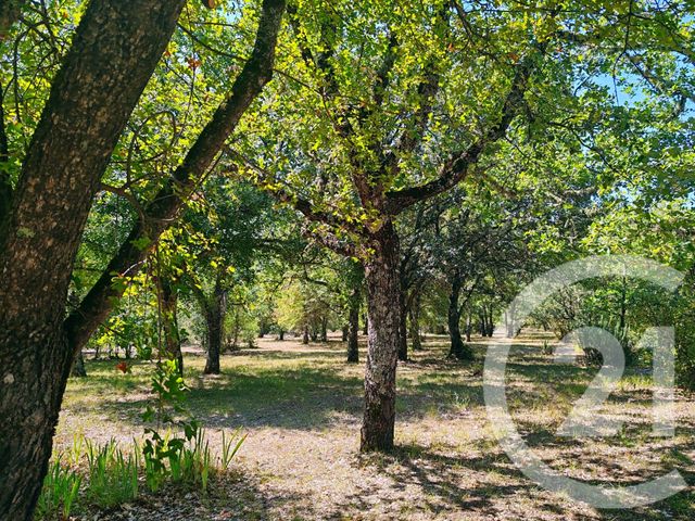 Maison &agrave; vendre - 7 pi&egrave;ces - 156,22 m2 - Simiane La Rotonde - 04 - PROVENCE-ALPES-COTE-D-AZUR