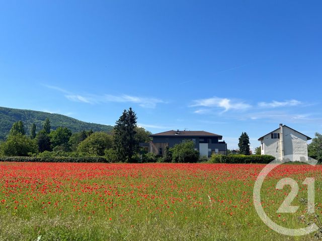 Appartement F3 &agrave; vendre - 3 pi&egrave;ces - 89,06 m2 - Sciez - 74 - RHONE-ALPES