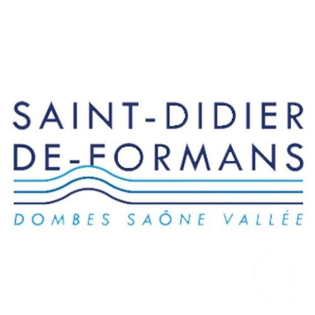Terrain &agrave; vendre - 1068 m2 - St Didier De Formans - 01 - RHONE-ALPES