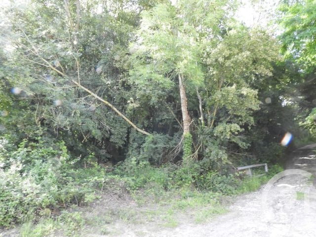 Terrain &agrave; vendre - 2910 m2 - Dammartin En Goele - 77 - ILE-DE-FRANCE