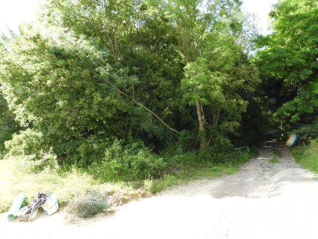 Terrain &agrave; vendre - 2910 m2 - Dammartin En Goele - 77 - ILE-DE-FRANCE