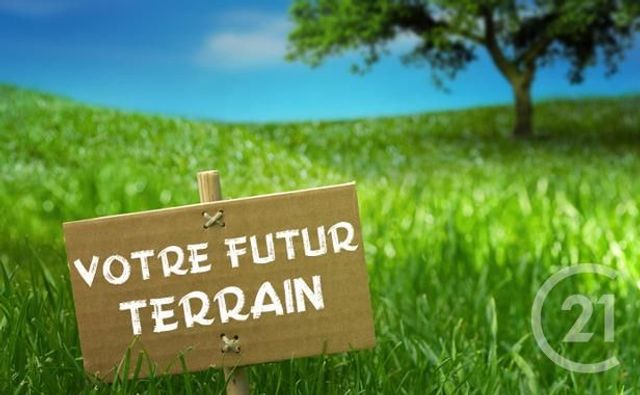 terrain - DAMMARTIN EN GOELE - 77