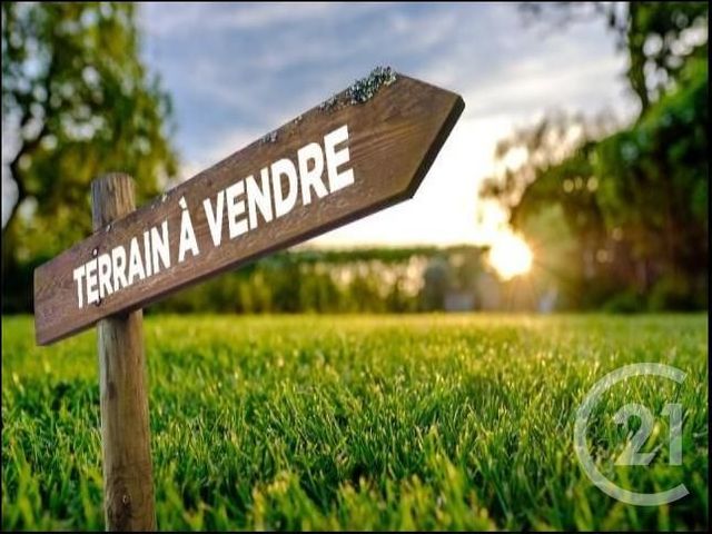 terrain - MONTGE EN GOELE - 77