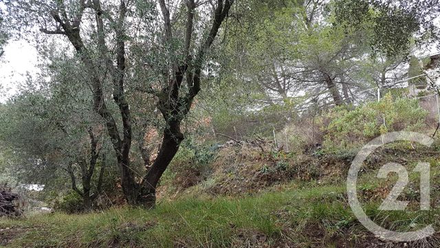 Terrain &agrave; vendre - 3764 m2 - Colomars - 06 - PROVENCE-ALPES-COTE-D-AZUR