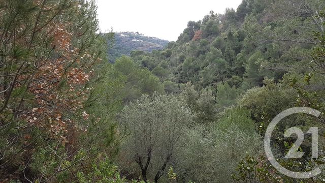 Terrain &agrave; vendre - 3764 m2 - Colomars - 06 - PROVENCE-ALPES-COTE-D-AZUR